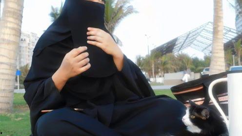 娱乐吃瓜君 网红是谁,网红背后的故事