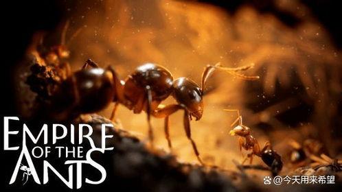 蚁群电影在线观看,探寻电影中的智慧与团结 第3张 蚁群电影在线观看,探寻电影中的智慧与团结 第3张